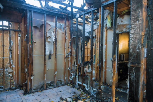 Professional Fire Damage Repair technician working in Nokesville, VA