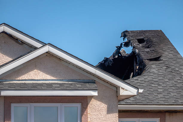 Top rated local Fire Damage Repair specialists in Nokesville, VA